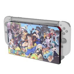 FR-TEC One piece Cover