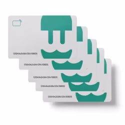 Wallbox RFID cards bundle 10