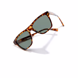 One Ls polarized #carey aligator - Additional view 4