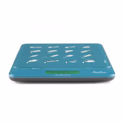 JATA HBAL1204 kitchen scale Blue Countertop Rectangle Electronic kitchen scale
