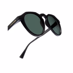 Warwick Raw polarized #black alligator
