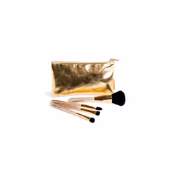 Diamond Complete Brushes Lot 5 pcs