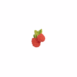 Oli&Carol Valery the Raspberry teether