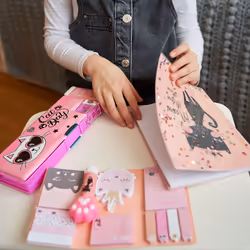 Hard Case kitty 1 u