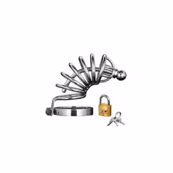 Asylum 6 Ring Locking Chastity Cage