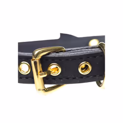Master Series Golden Kitty Cat Bell Collar Black/Gold