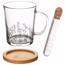 Glass Mug Set: Handle, Tea Strainer & Bamboo Wood Coaster