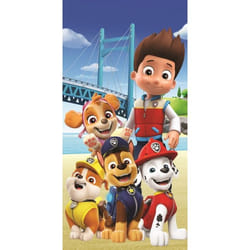 Jerry Fabrics 22TW228 beach towel 70 x 140 cm
