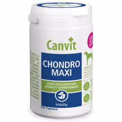 Canvit Joint Supplements For Dogs With Glucosamine And Chondroitin High Strength | Vitamin C & E, Joint Pain Relief | Hip & J ...