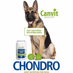 Canvit Joint Supplements For Dogs With Glucosamine And Chondroitin High Strength | Vitamin C & E, Joint Pain Relief | Hip & Joint Care For Adult