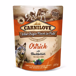 Brit 8595602537655, Adult, Ostrich, 300 g