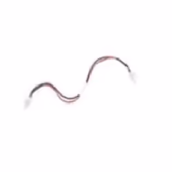 Zebra CBL-DC-394A1-01, 0.5 m, Multicolour, PWRBGA12V108W0WW