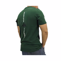 The North Face Mens Graphic TNF Logo T Shirts - Green, S
