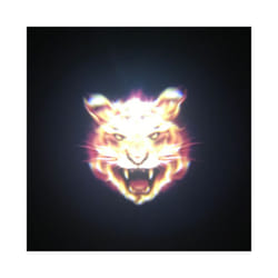 1PC Universal Car Door Led Welcome Laser Projector Logo Ghost Shadow Night - Tiger