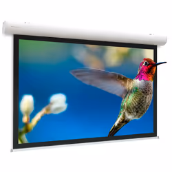 Da-Lite Elpro Concept projection screen 2.87 m (113") 16:9