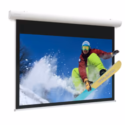 Da-Lite Elpro Concept projection screen 2.95 m (116") 16:10