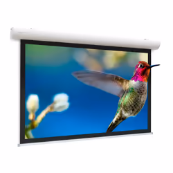 Da-Lite Elpro Concept, Motorized, 4.47 m (176"), 39 cm, 21.9 cm, 16:9, Matte White