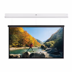 Da-Lite DescenderPro, Motorized, 3.42 m (134.7"), 2.9 m, 181 cm, 16:10, Matte White