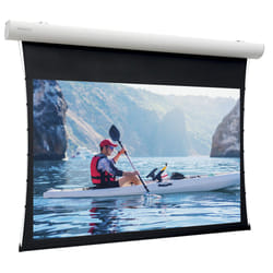 Da-Lite Tensioned Elpro Concept projection screen 3.43 m (135") 16:10