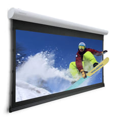 Da-Lite Tensioned Elpro Concept projection screen 4.24 m (167") 16:9