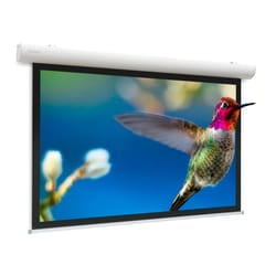Da-Lite Elpro Concept projection screen 3.33 m (131") 16:9