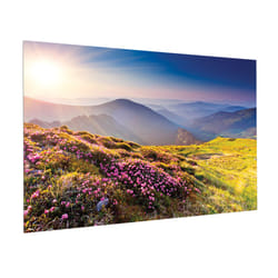 Da-Lite FullVision projection screen 2.87 m (113") 16:9