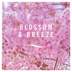 Air Freshener Room Spray & Bathroom Air Freshener, 185ML X 8 (1480ML), Blossom and Breeze (Pack of 8)
