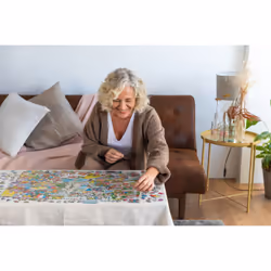 Jan van Haasteren Children's Birthday Party 1000 pieces