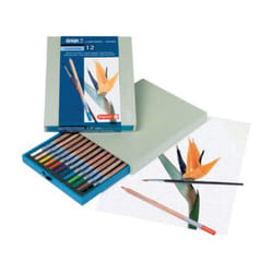 Artexport ME8710141083177 colour pencil 12 pc(s)