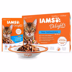 IAMS Delights Wet Food Sea Collection for Adult Cats with Fish in Jelly, 12 x 85 g