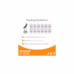 IAMS Complete Dry Dog Food for Senior 8+ Small and Medium Breeds with Chicken 3 kg