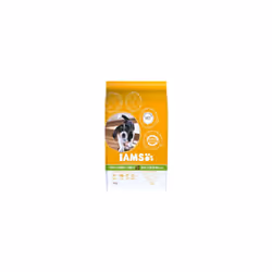 Iams ProActive Health Puppy/Junior Small/Medium Breed - 12 kg
