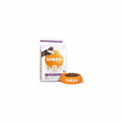IAMS for Vitality Dry Kitten Food with Fresh Chicken, 3 kg, Packaging may vary