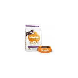 IAMS for Vitality Dry Kitten Food with Fresh Chicken, 3 kg, Packaging may vary