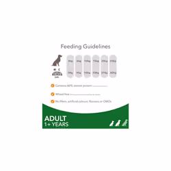 IAMS Complete Dry Dog Food for Adult 1+ Small and Medium Breeds with Lamb 3 kg