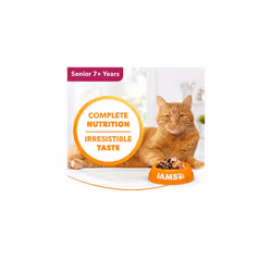 IAMS Delights Complete Wet Cat Food for Senior 7+ Cats Chicken in Jelly Multipack 12 x 85 g Pouches