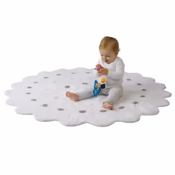 SES Creative Tiny Talents Sensory shape sorter