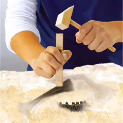 SES Creative Explore Excavate a T-rex skeleton