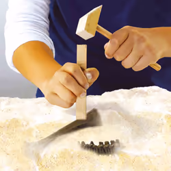 SES Creative Explore Dino and skeleton excavation 2 in 1 - Stegosaurus