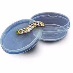 SES Creative Explore Insect explorer - Additional view 4