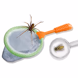 SES Creative Explore Insect explorer - Additional view 7