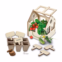 SES Creative Greenhouse veggies - 3 different seed to grow your own vegetables, Age 5+