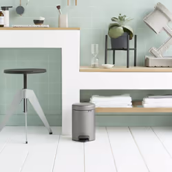 Brabantia 113246 trash can 3 L Round Platinum