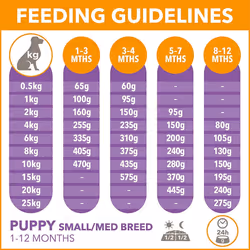 IAMS for Vitality Small/Medium Breed Puppy Dry Dog Food with Fresh Chicken, 3 kg