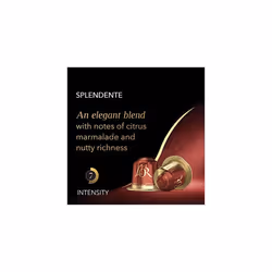 Espresso Splendente Intensity 7 - Nespresso* Compatible Coffee Capsules (Pack of 10, 100 Capsules in Total)