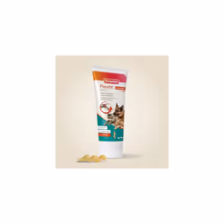 â Flexifit Joint Supplement Paste for Cats & Dogs, 250g â Aids Stiff Joints â Contains Glucosamine, Omega 3, Vitamins C & E â Ideal for