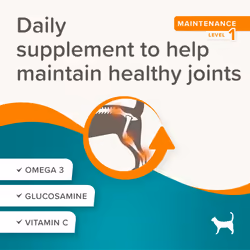 Beaphar Flexifit Cat Bits Daily Treat Joint Supplement