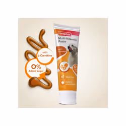 Beaphar | Multi-Vitamin Paste for Dogs | Prebiotic Paste Aids Digestion | Promotes Glossy Coat & Vitality | Healthy Tasty Treat | 100g Tube