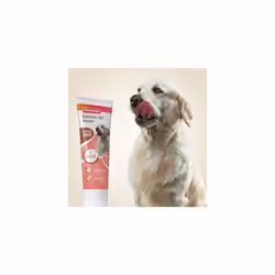 Beaphar | Salmon Oil Paste for Dogs | Promotes Glossy Coat | Supports Vision & Overall Health | Contains Omega 3 & 6 | For Dogs of All Ages | 100g
