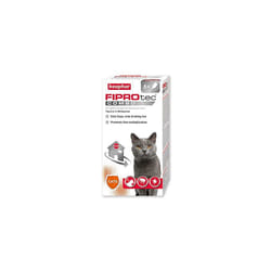 | FIPROtec COMBO for Cats & Kittens | Kills Fleas, Flea Eggs & Ticks | Stops Fleas Multiplying on Pet and in Home | Vet Strength Treatment | 6